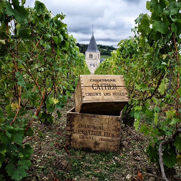 Notre précieux domaine classé Premier Cru