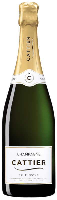 Brut Icône