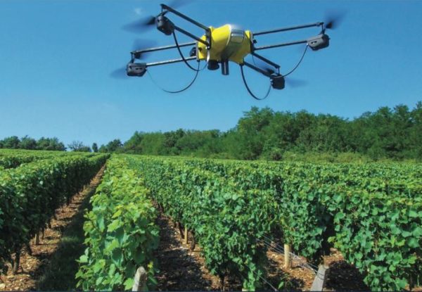 The drone, the viticultural tool of the future?
