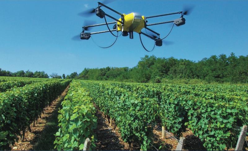 The drone, the viticultural tool of the future?