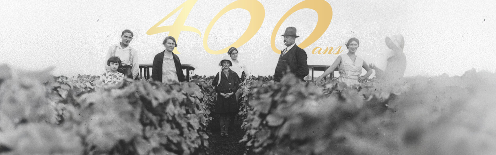 Winegrowers at heart for 400 years