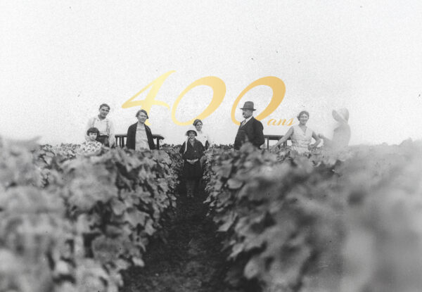 Winegrowers at heart for 400 years