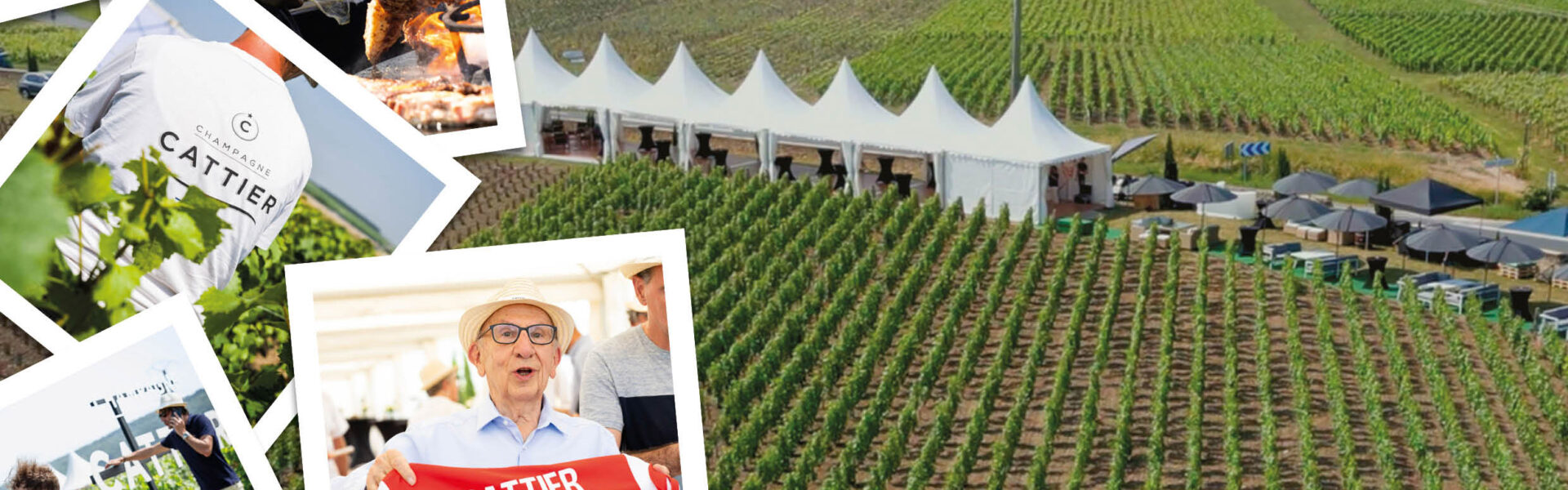 A look back at 400 years of the Cattier family