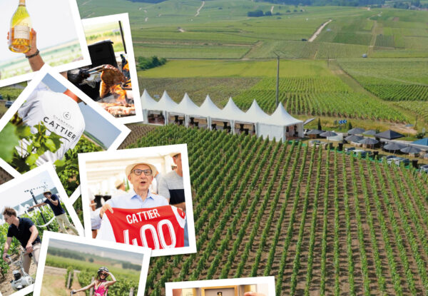 A look back at 400 years of the Cattier family